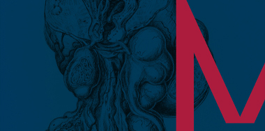 METHOD is a resource written for students, researchers and practitioners